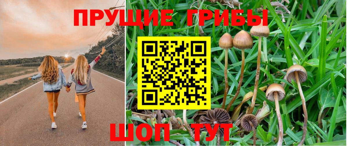 Псилоцибиновые грибы Psilocybe  Вход с VPN  Зеленокумск 