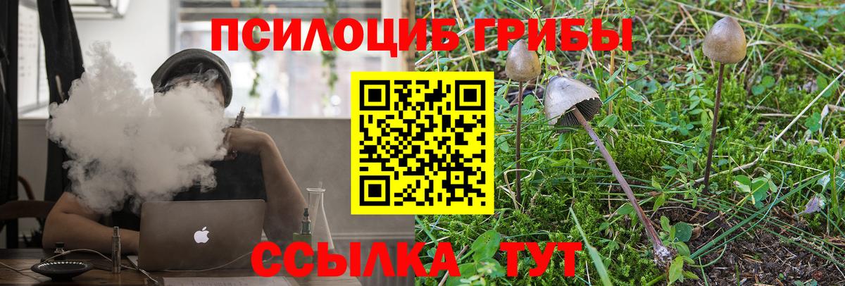 Псилоцибиновые грибы GOLDEN TEACHER Зеленокумск
